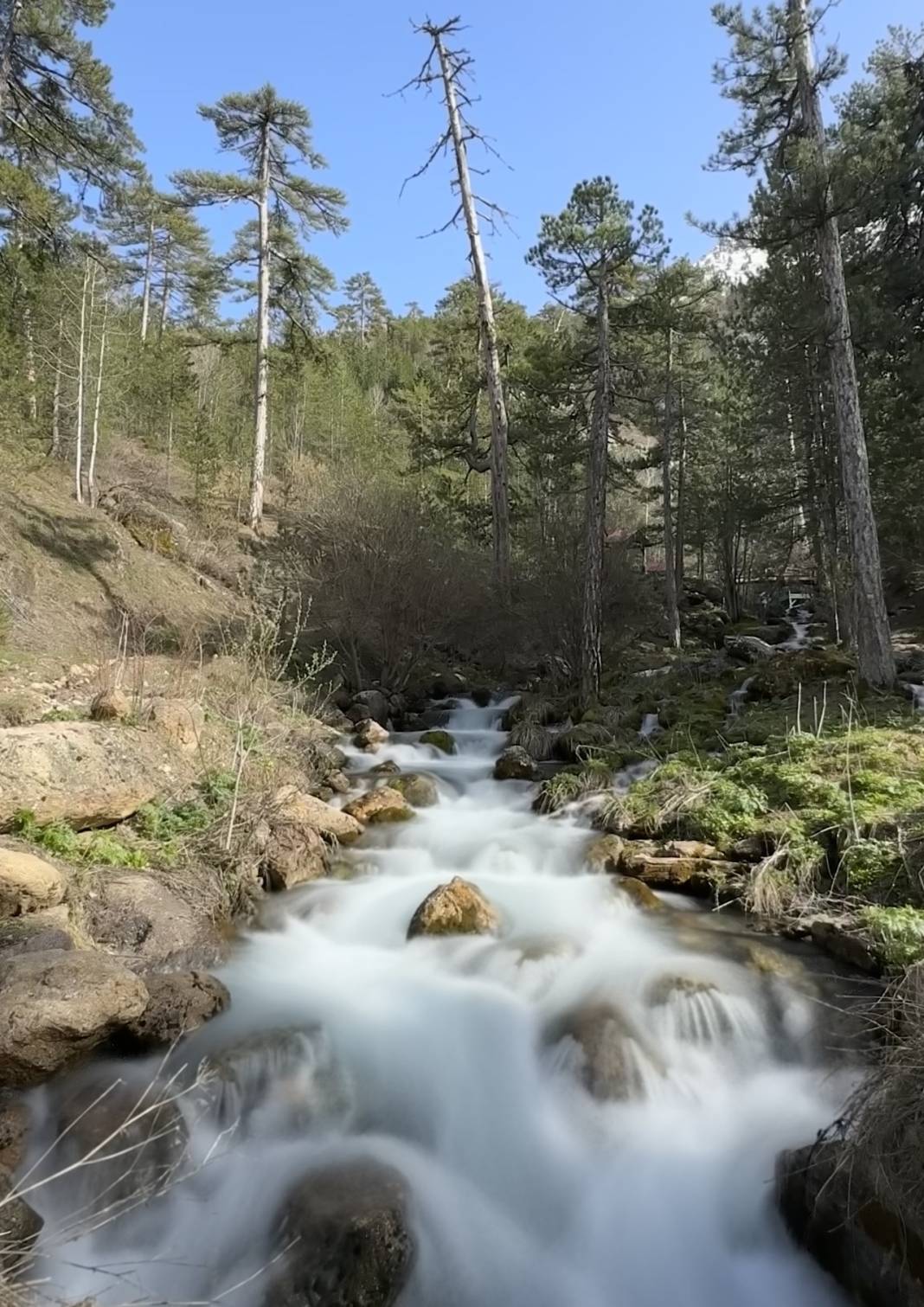 Konya'da adeta cennetten bir köşe! Bir tarafta karlı dağlar, diğer yanda bahar 1